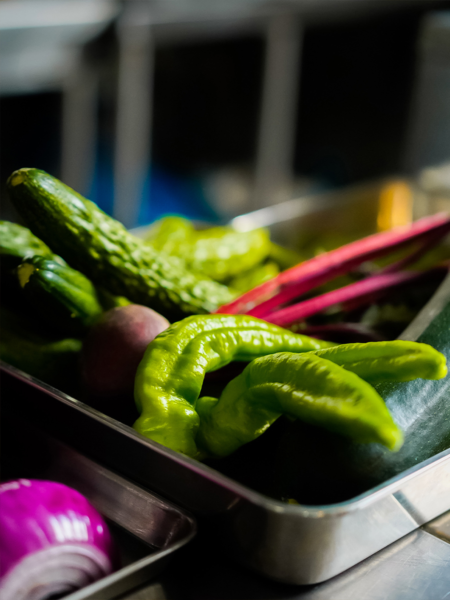 【wafu.ファン限定】CIPダイニング おまかせコース料理券